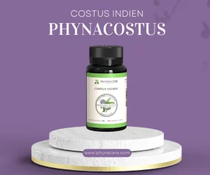 Costus indien en gélules analysé en laboratoire français – Phynacostus contrôle qualité