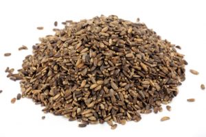 akènes de chardon-marie. Image illustrative