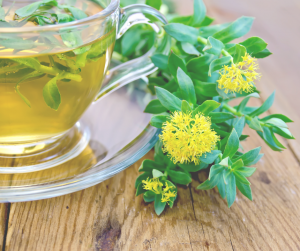 Rhodiole tisane. Image décorative