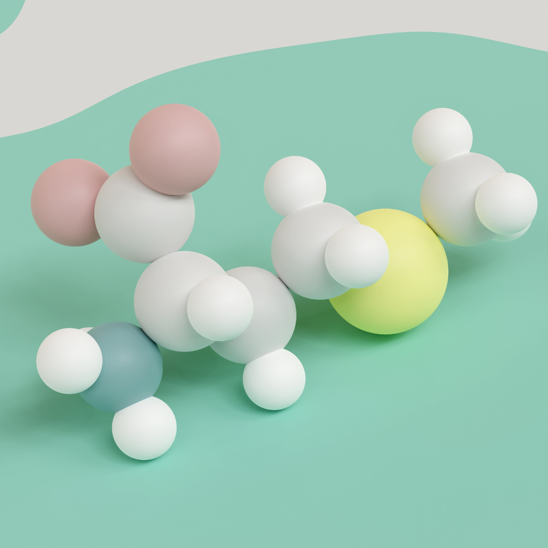 Modélisation de la méthionine