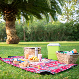 intoxication alimentaire estivale. Image décorative