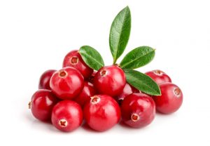 baies de cranberry. Image illustrative