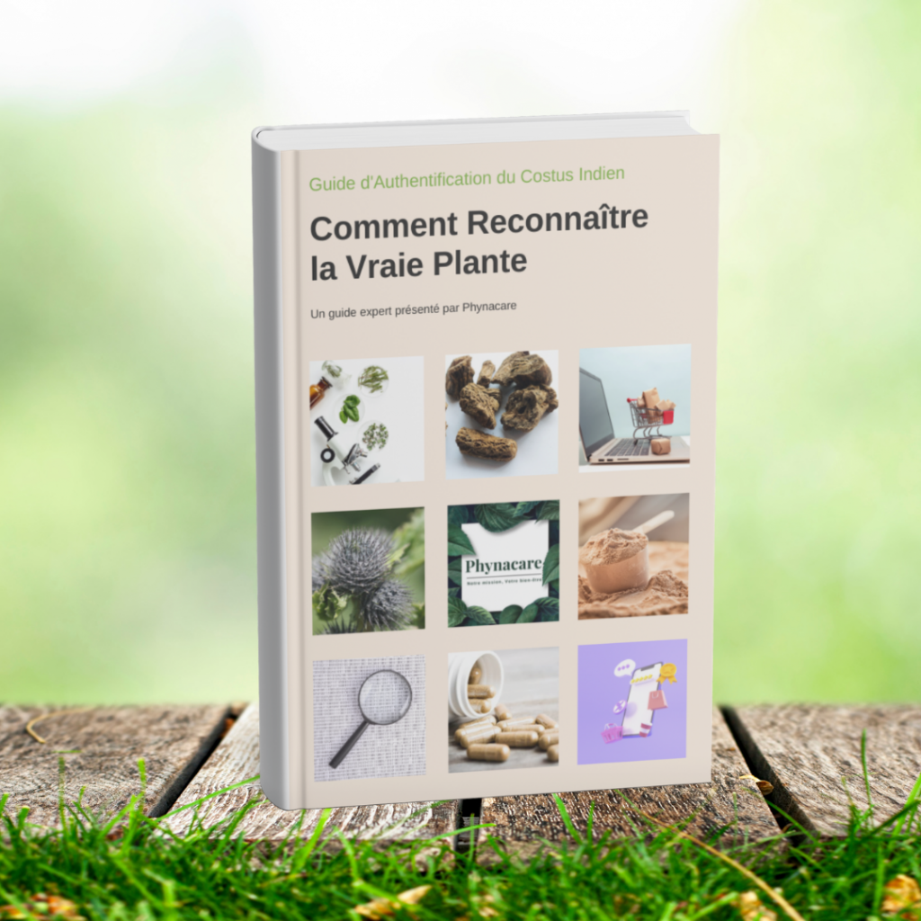 e-book pdf costus indien