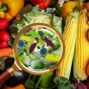 Intoxication alimentaire.Image décorative