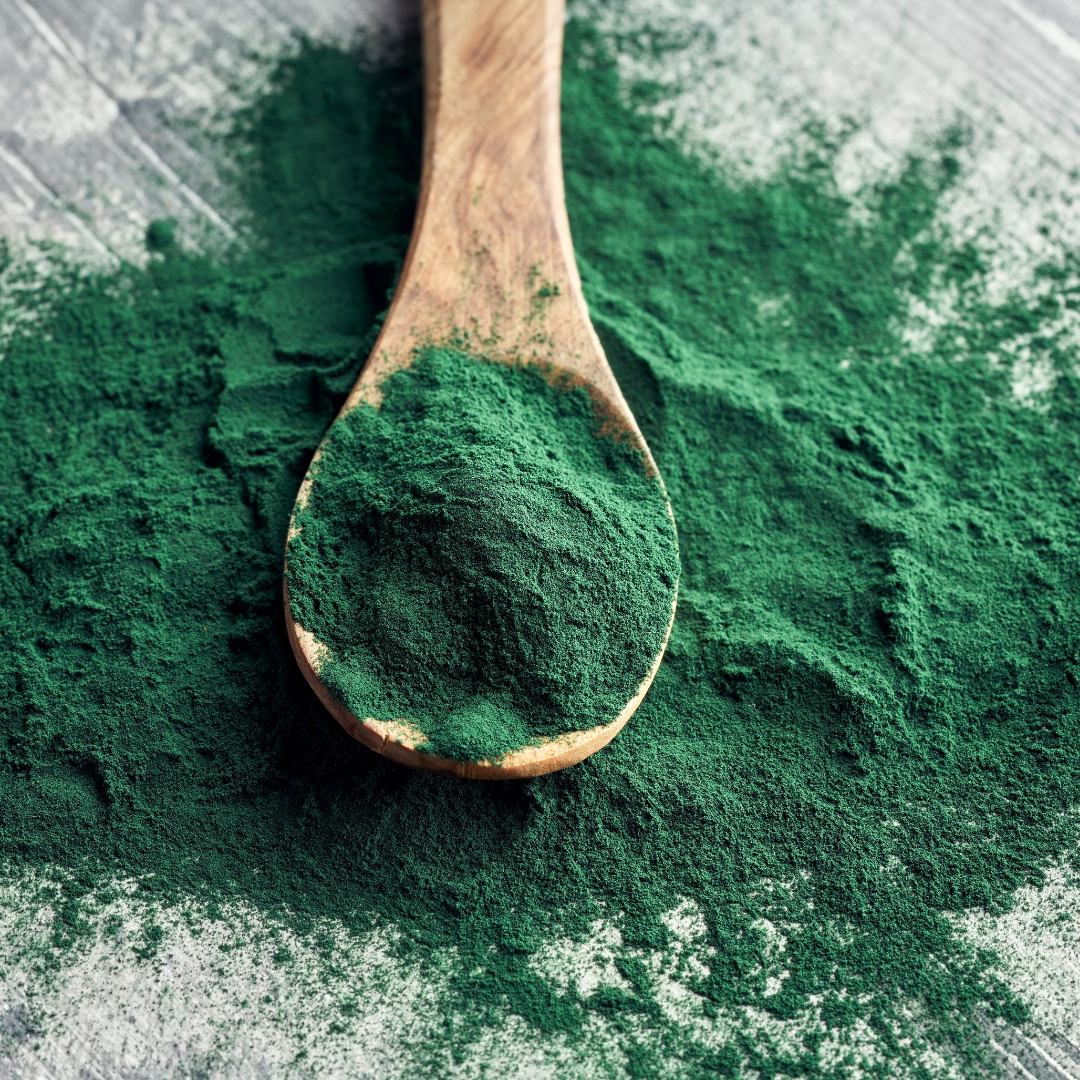 poudre de spiruline. Image illustrative
