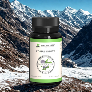 costus indien gelule phynacostus