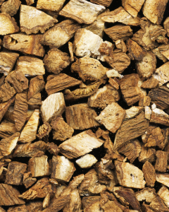 Racine de costus indien Saussurea costus utilisée en complément alimentaire – identification botanique