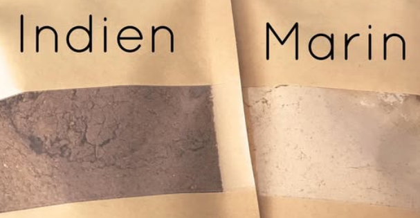 costus marin vs costus indien. Image illustrative