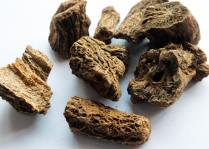 costus indien saussurea costus racine. image descriptive