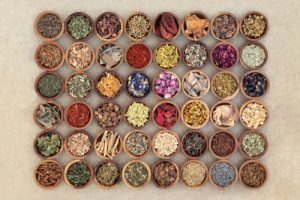 l'histoire du costus indien et l'Asie