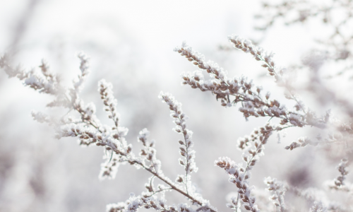 Grand froid. Image décorative